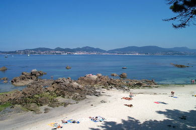Mourisca (os olmos). 