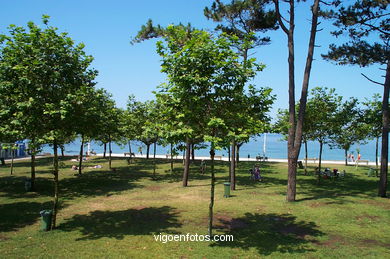 Arboleda y jardines de la playa de Samil (Vigo).