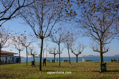 Arboleda y jardines de la playa de Samil (Vigo).