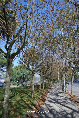 Arboleda y jardines de la playa de Samil (Vigo).