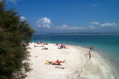 Playa de Toralla. 