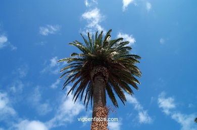 Playa del Vao. 