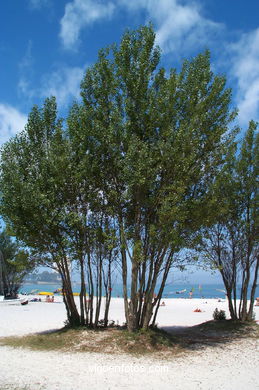 Playa del Vao. 
