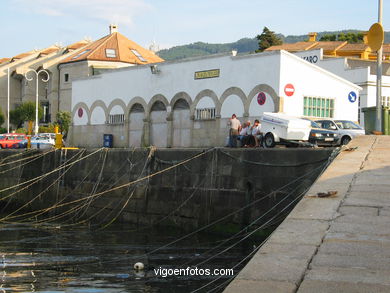Canido area port. 
