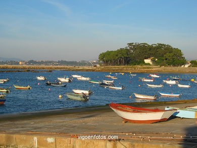 Canido area port. 
