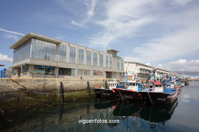 Puerto pesquero del Berbés (Vigo).