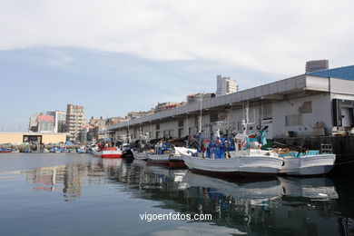 Puerto pesquero del Berbés (Vigo).