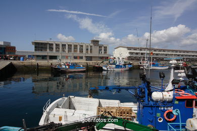 Fishing port of the Berbes. 