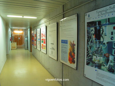 Cacti
(Auxiliary buildings)
. 