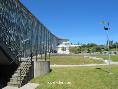 Zona verde en los exteriores de la escuela. 