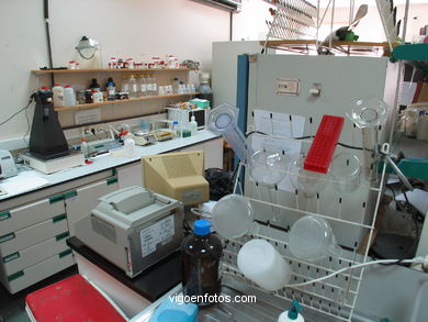 Laboratorio. 