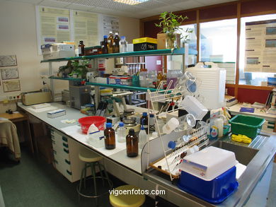 Laboratorio. 