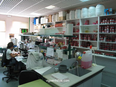 Laboratorio. 