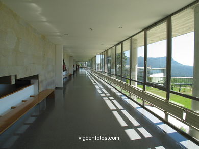 Economic and business
(The campus of vigo)
. 