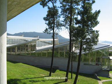 Economic and business
(The campus of vigo)

-  (Map location). 