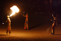 International equestrian championship of jumps
