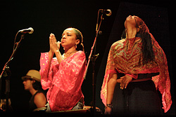 Concierto de Ziggy Marley
