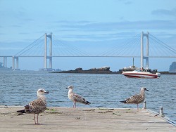 R�a de Vigo