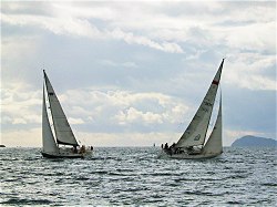 Veleros en la R�a de Vigo