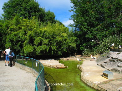 Instalaciones de Vigozoo. 