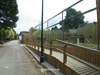 Installations
(Zoo)
. 