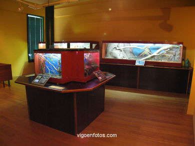 Instalaciones
(Zool�gico)
. 