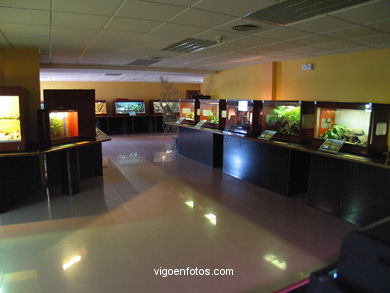 Instalaciones
(Zool�gico)
. 