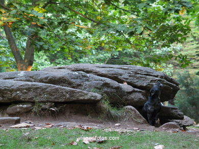 Dolmen Chan de Arquiña (Domaio) Moaña.