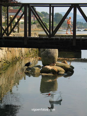 Marismas de Meira y rio da ponte - Moa�a. 