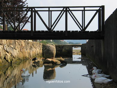 Marismas de Meira y rio da ponte - Moa�a. 