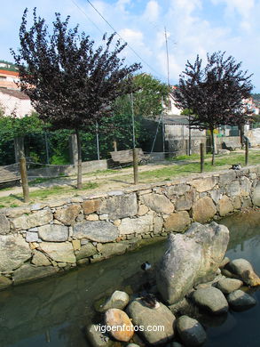 Marismas de Meira y rio da ponte - Moa�a. 