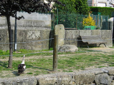 Marismas de Meira y rio da ponte - Moa�a. 