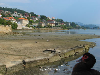 Marismas de Meira y rio da ponte - Moa�a. 