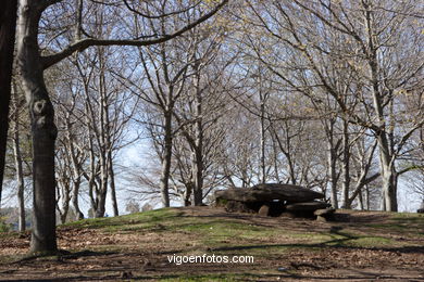 Parque forestal Domaio - Moa�a. 