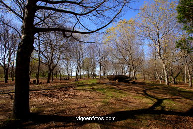 Parque forestal Domaio - Moa�a. 