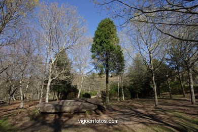 Parque forestal Domaio - Moa�a. 