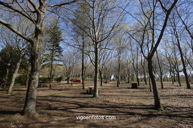 Parque forestal Domaio - Moa�a. 