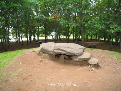 Parque forestal Domaio - Moa�a. 