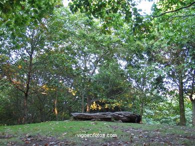 Parque forestal Domaio - Moa�a. 