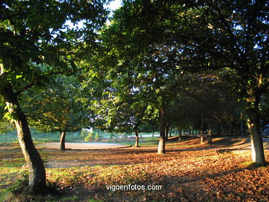 Parque forestal Domaio - Moa�a. 