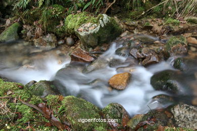 Ruta de senderismo rio da Fraga - Moaña.