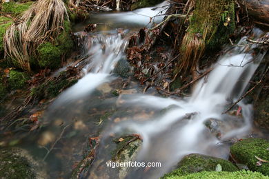 Ruta de senderismo rio da Fraga - Moaña.