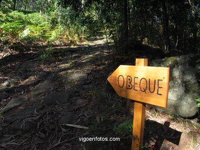 Ruta de senderismo rio da Fraga - Moaña.
