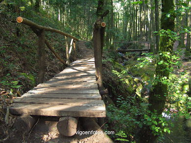 Ruta de senderismo rio da Fraga - Moaña.