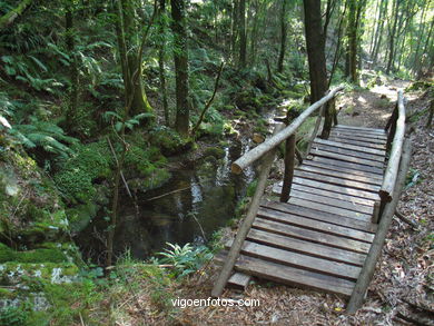 Ruta de senderismo rio da Fraga - Moaña.
