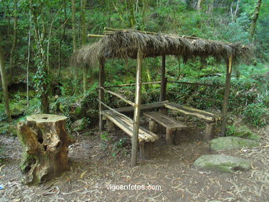 Ruta de senderismo rio da Fraga - Moa�a. 