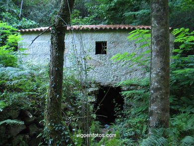 Ruta de senderismo rio da Fraga - Moaña.