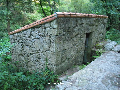 Ruta de senderismo rio da Fraga - Moa�a. 