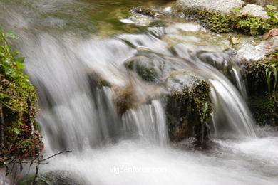 Ruta de senderismo rio da Fraga - Moa�a. 