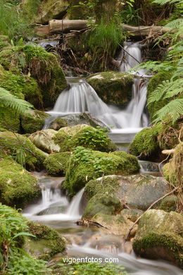 Ruta de senderismo rio da Fraga - Moa�a. 